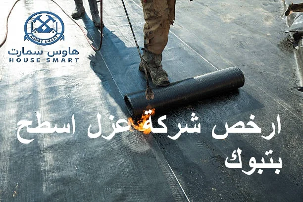 عزل سطح المنازل
