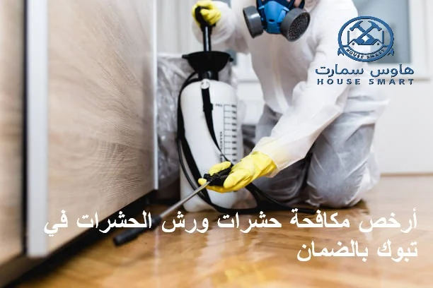 أرخص شركة رش حشرات في تبوك