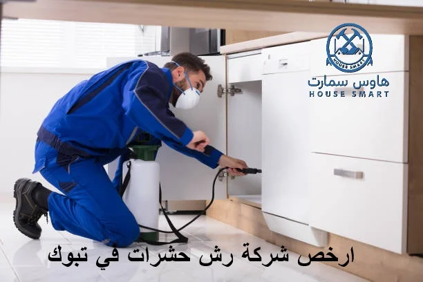 ارخص شركة رش صراصير في تبوك